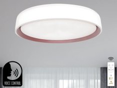 LED stropní lampa OPAL + DO + OVLÁDÁNÍ HLASEM 48W - LC902MV