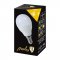 LED žárovka 8W-65W G45 160° E14 matná - Barva světla: Studená bílá