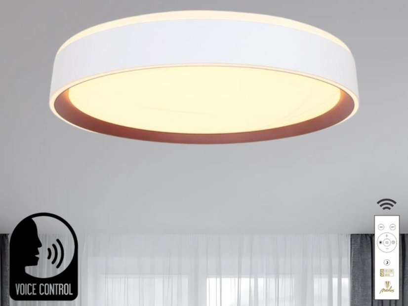 LED stropní lampa OPAL + DO + OVLÁDÁNÍ HLASEM 48W - LC902MV