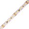 LED pásek digitální 24DIGI21 21W/m WS2811 vnitřní