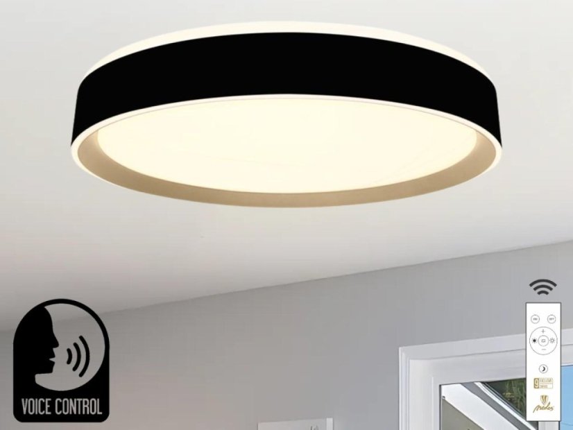 LED stropní lampa OPAL + DO + OVLÁDÁNÍ HLASEM 48W - LC902MBV