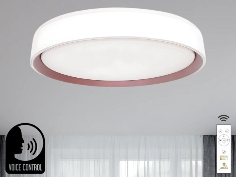 LED stropní lampa OPAL + DO + OVLÁDÁNÍ HLASEM 48W - LC902MV