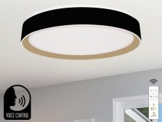 LED stropní lampa OPAL + DO + OVLÁDÁNÍ HLASEM 48W - LC902MBV