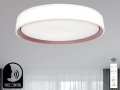 LED stropní lampa OPAL + DO + OVLÁDÁNÍ HLASEM 48W - LC902MV