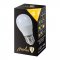 LED žárovka G45 8-60W 160° E27 - Barva světla: Studená bílá