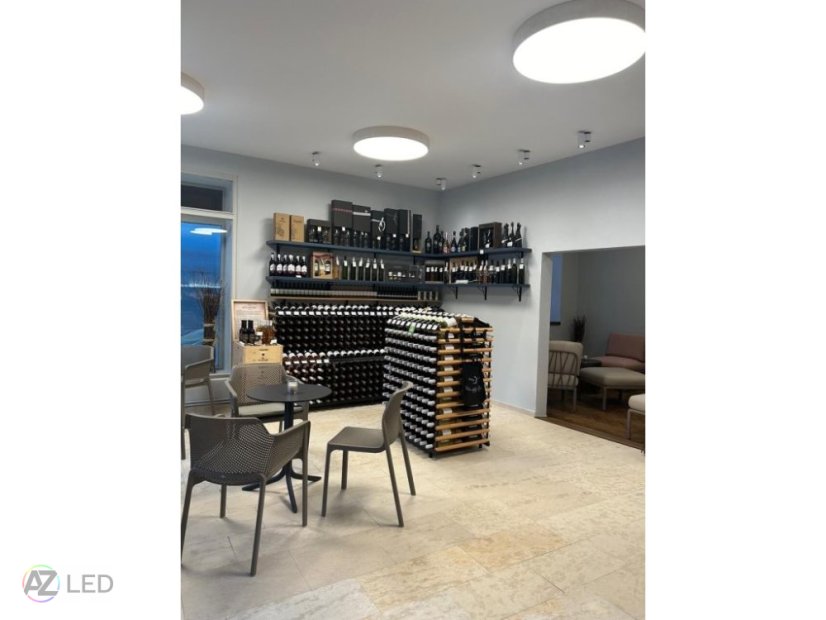 Stropní LED svítidlo Reny 2 - 3000K stříbrná