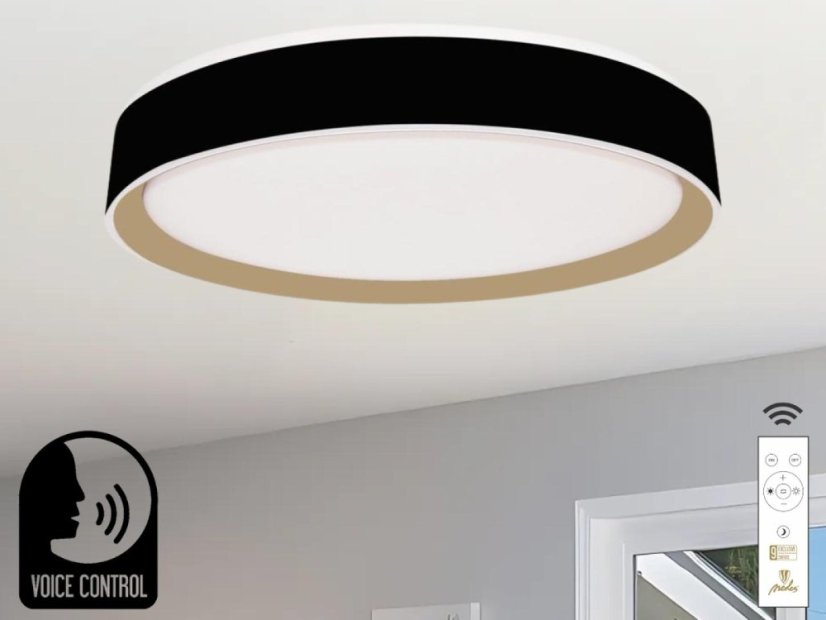 LED stropní lampa OPAL + DO + OVLÁDÁNÍ HLASEM 48W - LC902MBV