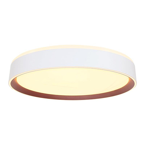 LED svítidla