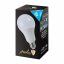 LED žárovka A80 18-120W 270° E27 - Barva světla: Teplá bílá