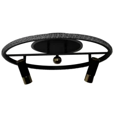 LED stropní svítidlo s dálkovým ovladačem 60W - TA1333/B LED stropní svítidlo s dálkovým ovladačem 60W - TA1333/B