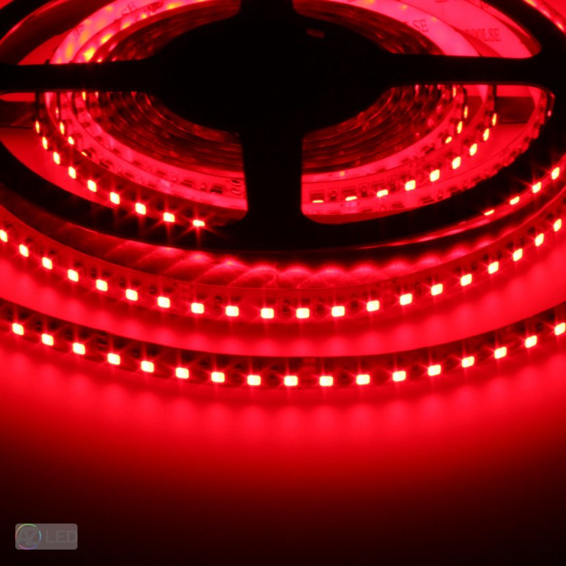 LED pásek RGBW 24V 19,2W/m 4v1 vnitřní - Barva světla: RGB + Denní bílá