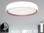 LED stropní lampa OPAL + DO + OVLÁDÁNÍ HLASEM 48W - LC902MV