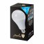 LED žárovka A95 22-150W 240° E27 - Barva světla: Denní bílá