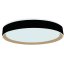 LED stropní lampa OPAL + DO + OVLÁDÁNÍ HLASEM 48W - LC902MBV
