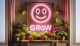 Pěstování s LED světlem - GROW LED pásek