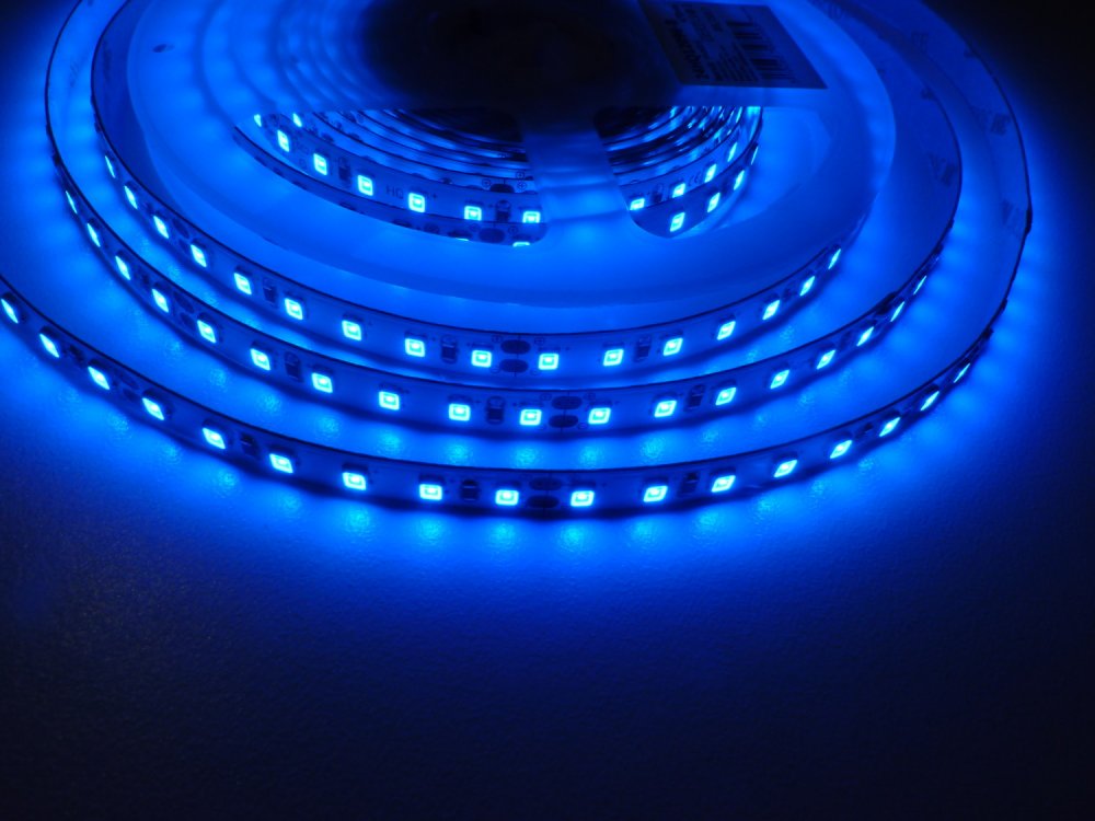 T-LED LED pásek 24HQ12096 vnitřní Modrá 079256 24V 9,6W/m IP20 počet diod 120